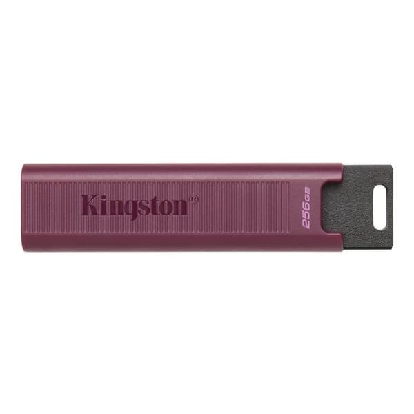 Kingston DTMAXA-1TB USB-minne