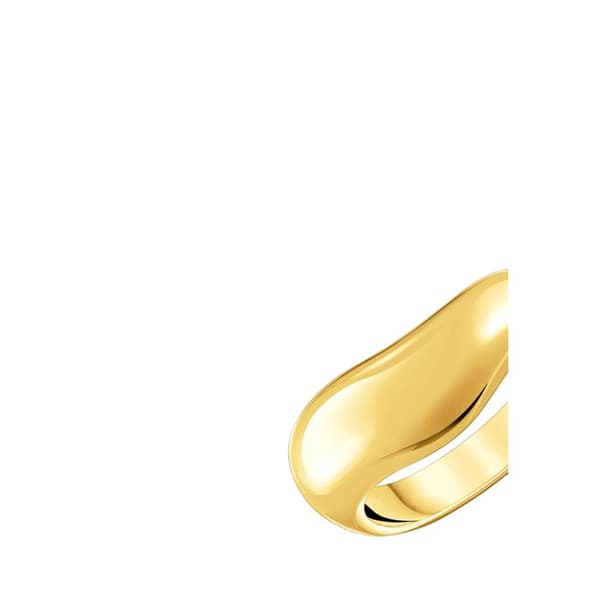 Ring Dam TR2473-413-39-54, 54/17,2