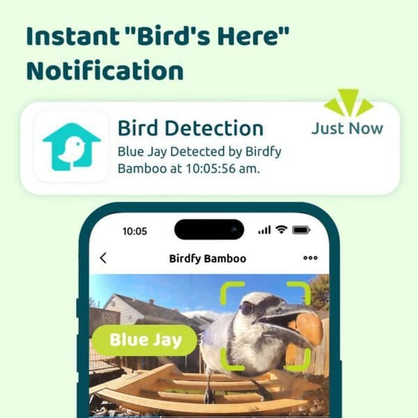 Fuglefoderstation - Birdfy Bamboo - HD WiFi Kamera - Solenergi - AI Artsgenkendelse