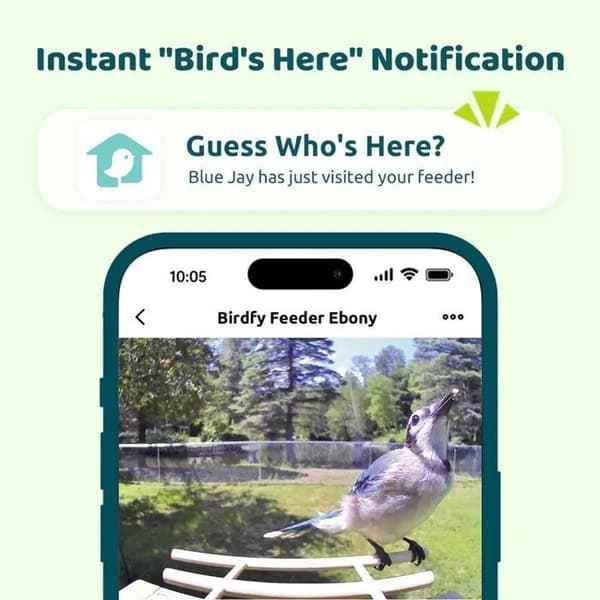 Birdfy Ebony Lite - Fuglefoderstation med HD WiFi-kamera - AI-artgenkendelse - Solpanel med lang batterilevetid