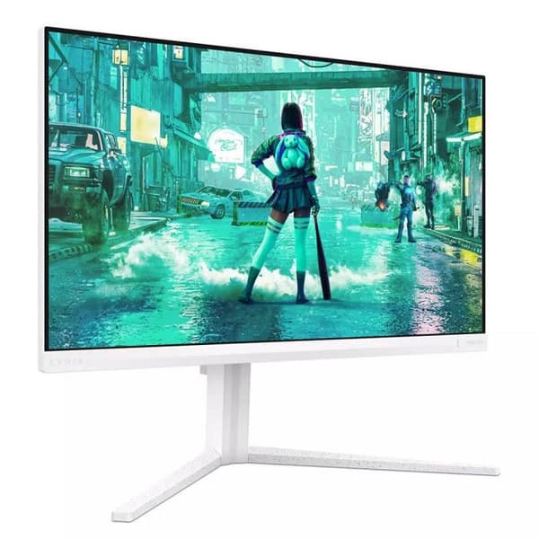 PHILIPS Philips Evnia 24M2N320