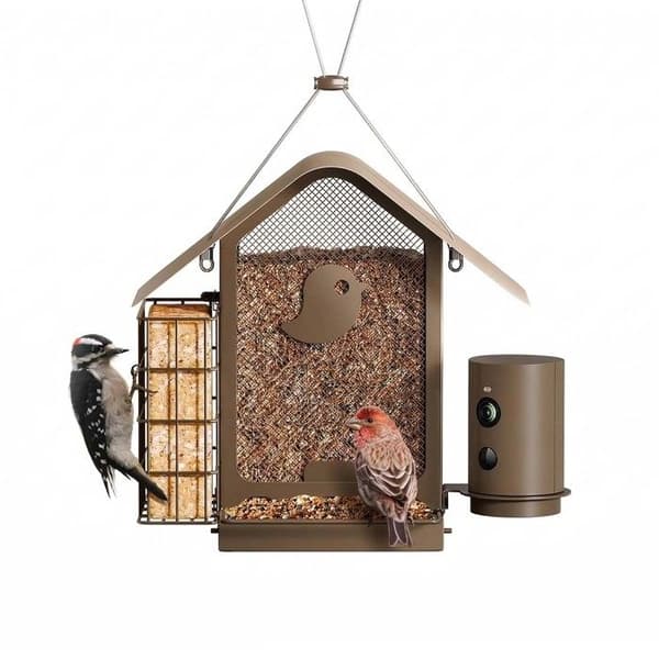 Fuglefoderstation med AI-kamera og solmodul IP66 Birdfy Bronze
