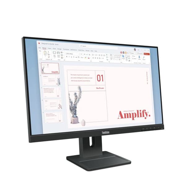 Lenovo ThinkVision E24-40 - är