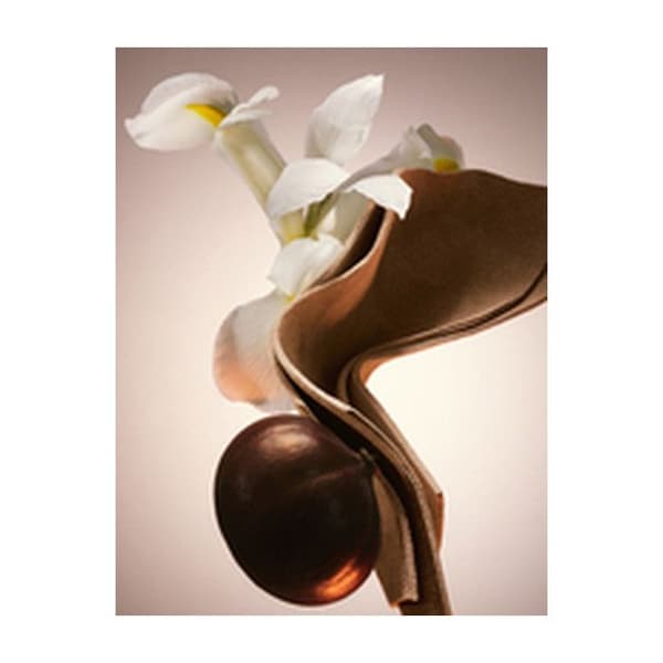Boss The Scent Le Parfum Eau de Parfum 100 ML