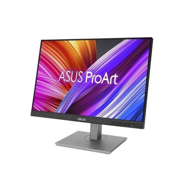 ASUS PA248CNV PC skærm