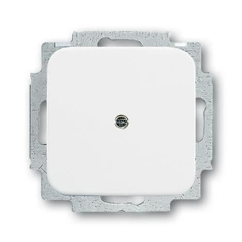 Busch-Jaeger 2538-214 Pladebutik, Central