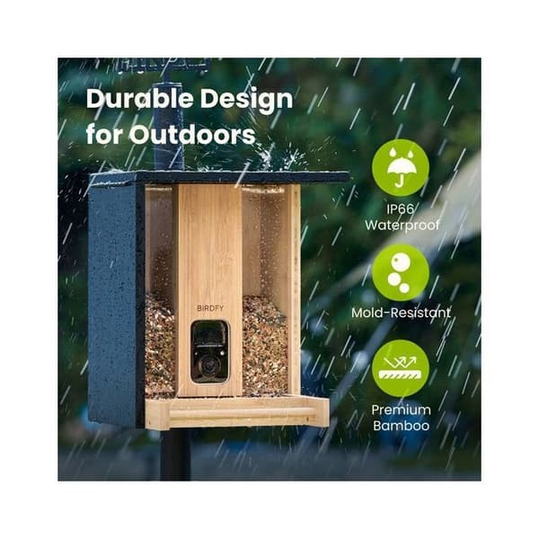 Foderbambus AI Med Solenergi Birdfy