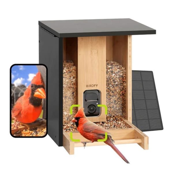 Fuglefoderstation - Birdfy Bamboo - HD WiFi Kamera - Solenergi - AI Artsgenkendelse