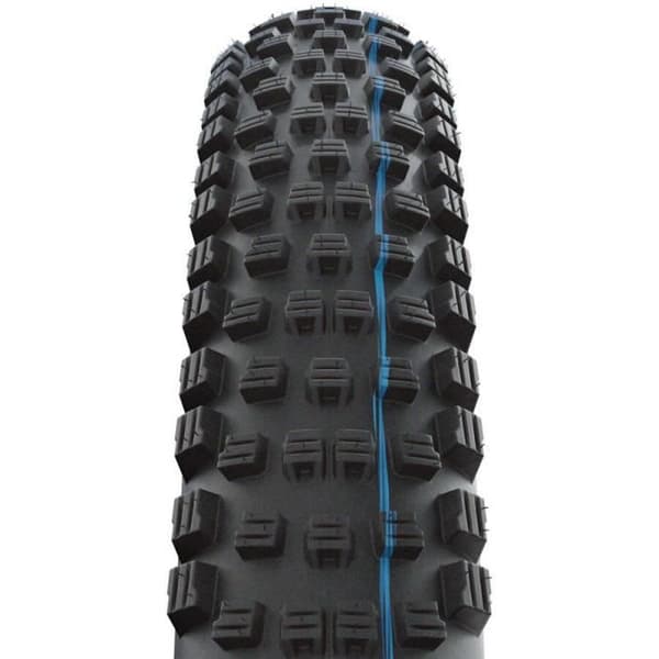 Pneu Schwalbe Wicked Will Evo Sup.Race Ad.Speedg.Tle - sort/blå - 29"x2,40 - Voksen Mand