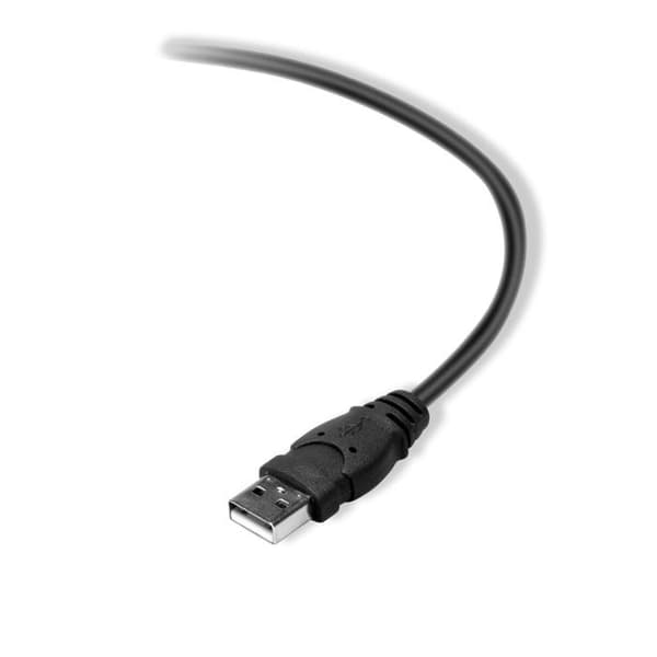 USB-kabel - BELKIN - DSTP - 3M - Sort - USB 2.0 - Støbt med kabelbindere