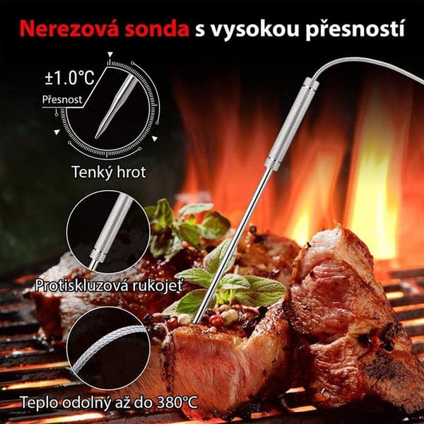 ThermoPro TP17H