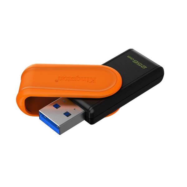 KINGSTON 256Go Bärbar USB 3.