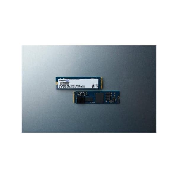 KINGSTON Namn: 960Go DC2000B P