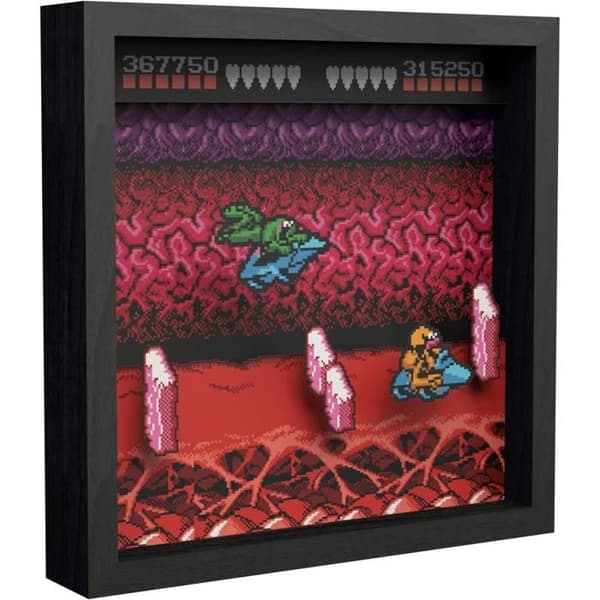 Pixel Frames - Battletoads NES Turbo Tunnel - 23x23 cm