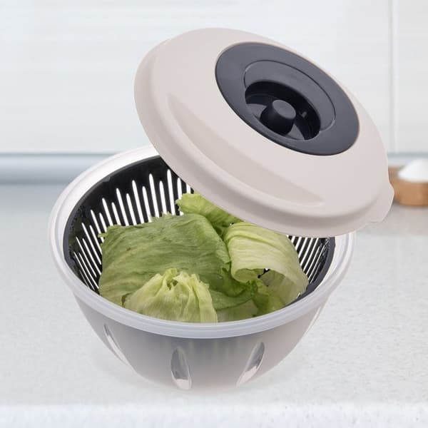 saladspinner ELA