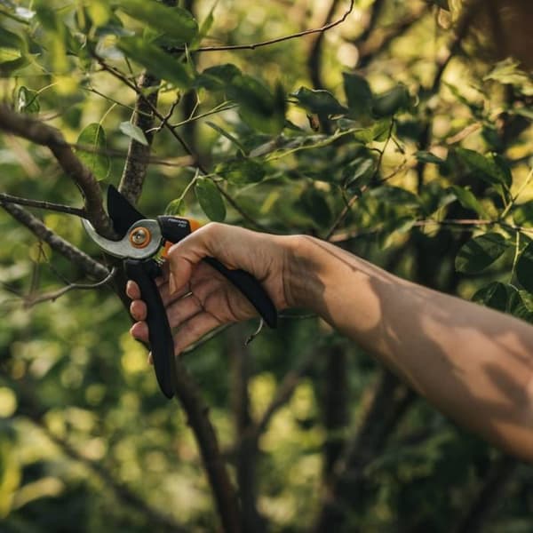 Haveklipper - FISKARS - Solid til fine grene - Hærdet blad og rustbeskyttende belægning