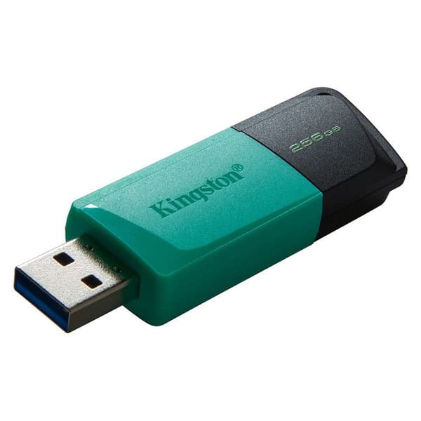 USB-hukommelse - KINGSTON - Dtexodia M Bk - 256 GB - USB 3.2 - Sort