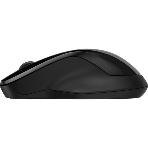HP 250