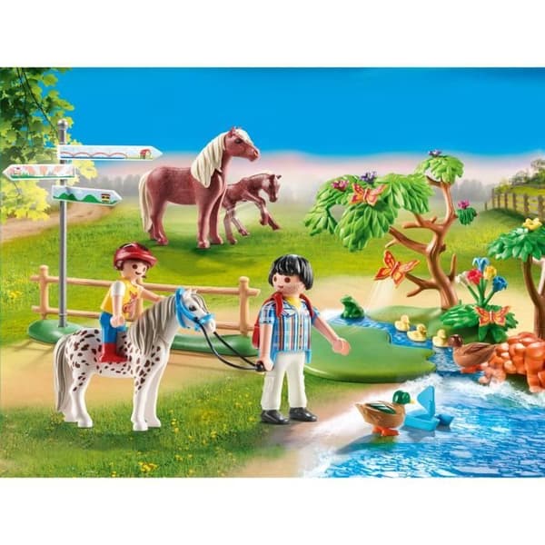 Landsbygd Ponyäventyr