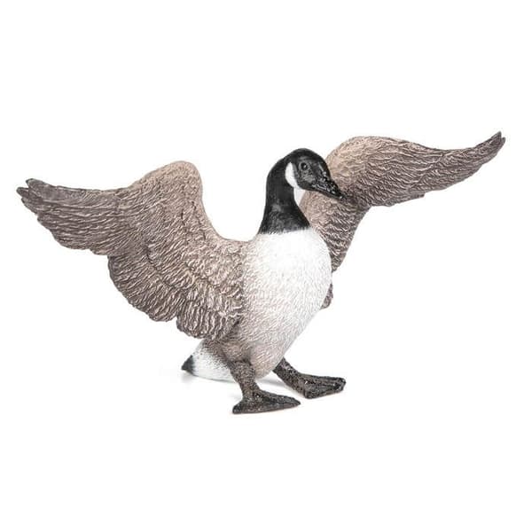 Figur i gås bernache