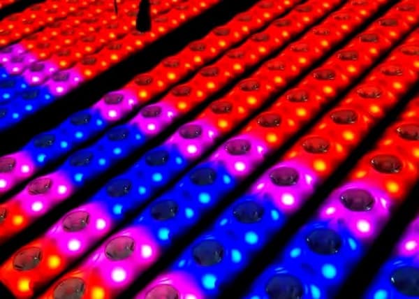 Beamz LCB14 LED BAR 14x3WW+56 SMD Pixel