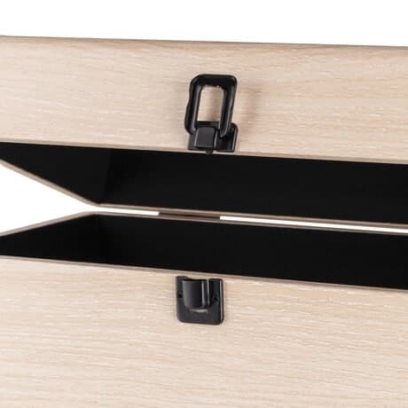 Audizio RC32 Vinyl Record Case Ljus Trä