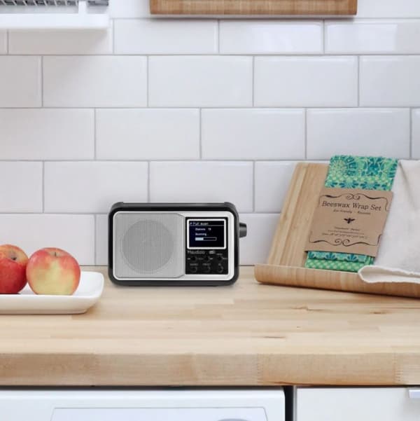 Audizio Parma portabel DAB+ radio, silver