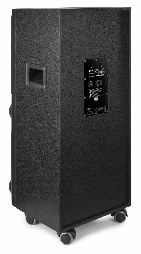 Fenton LIVE2104 karaoke Party station, 2x10", USB, Mikrofon