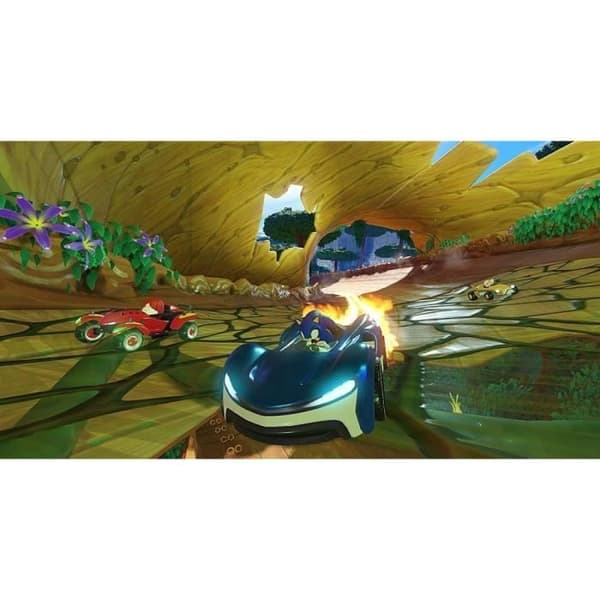 Team Sonic Racing Switch Game