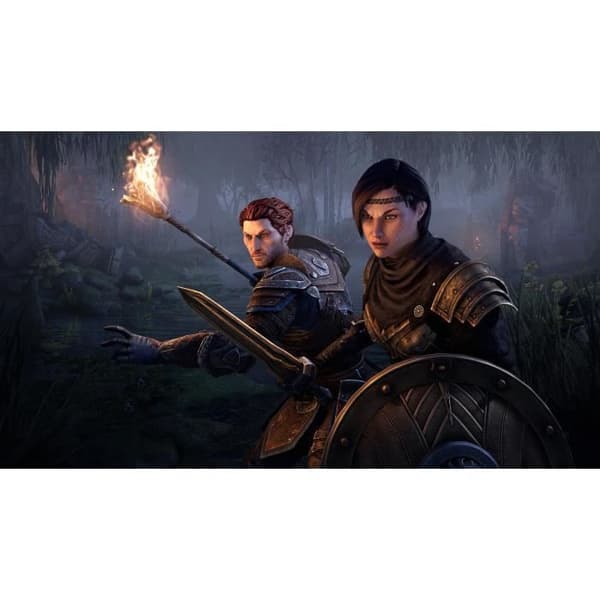 The Elder Scrolls Online: Blackwood Collection PS4-spel