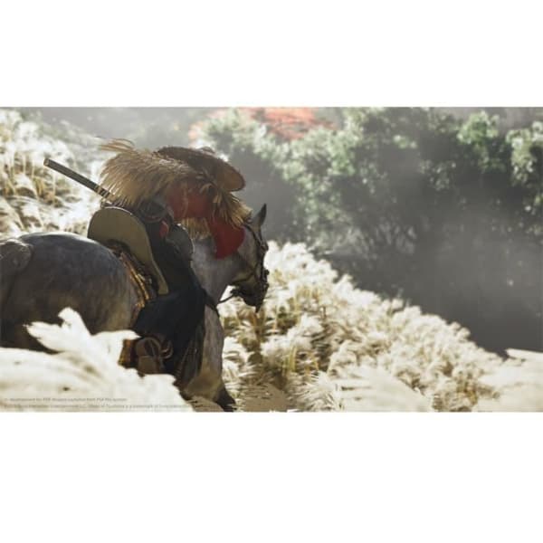Sony Interactive Entertainment Ghost of Tsushima PS4 Standard Blu-Ray