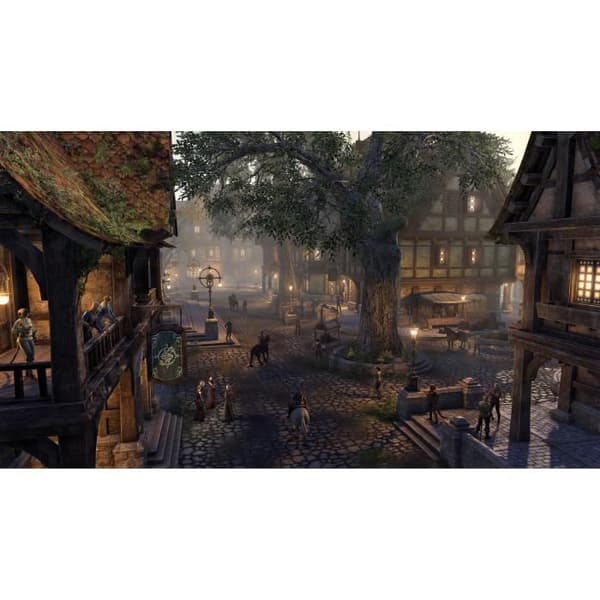 The Elder Scrolls Online: Blackwood Collection PS4-spel