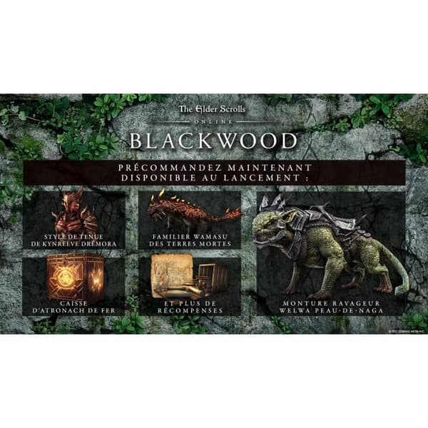 The Elder Scrolls Online: Blackwood Collection PS4-spel