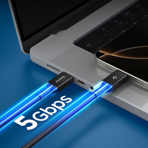 Spigen EB10020CC Essential USB-C-kabel 100W 2m - Svart