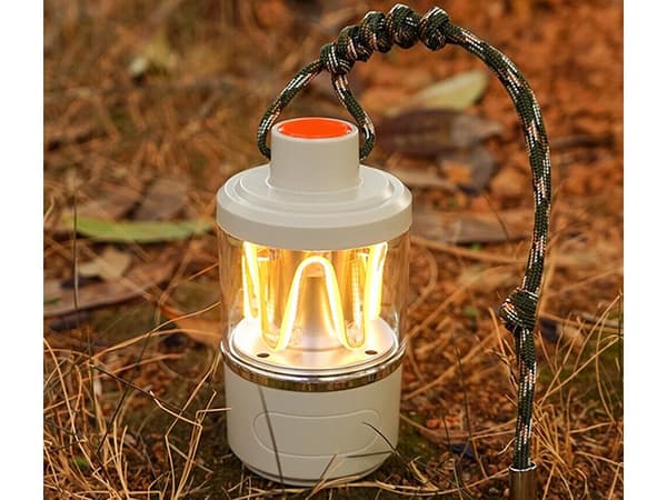 Hängande lampa 808 (100)