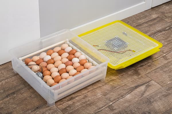 Automatisk INGÅVARE Kläckare FJÄDERFÄGÄGGKläckare 54 Hönsägg
