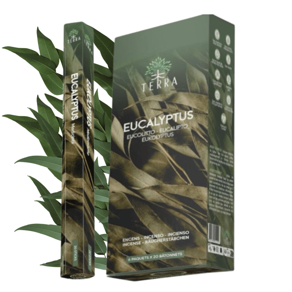 Terra Eucalyptus røgelsespinde 20 stk. eukalyptus