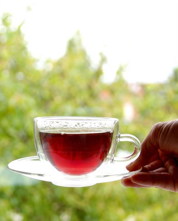 Termokop med underkop, 250 ml, borosilikatglas