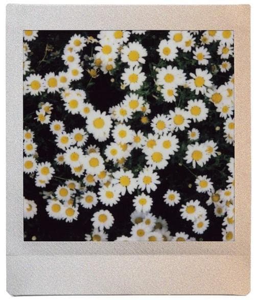 FUJIFILM Instax Square Sunset -kasetti 10 kpl