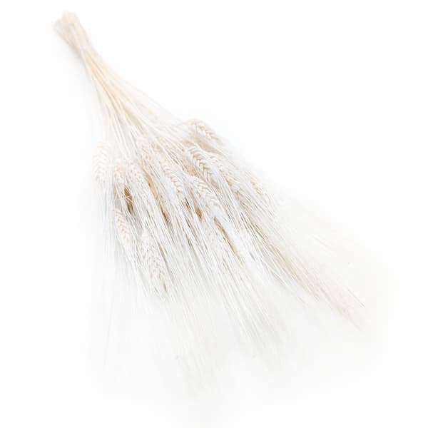 Tørret triticale - Ekstra bleget