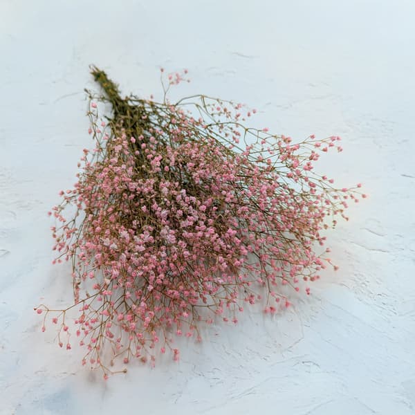 Stabiliseret Gypsophila - Pastelrosa