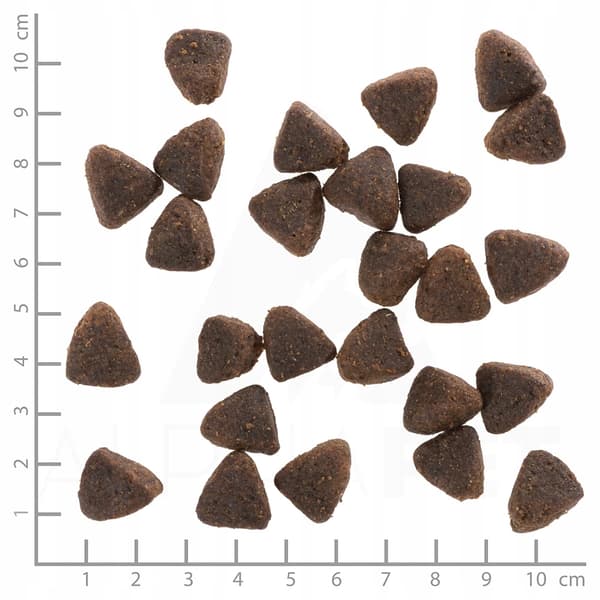 Wolfsblut Jack Rabbit -koiranruoka aikuisille 12,5 kg
