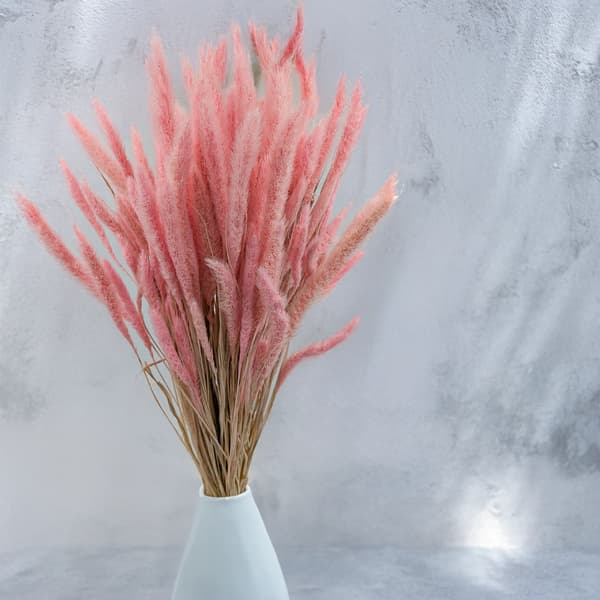 Setaria (Setarea) Pink - buket
