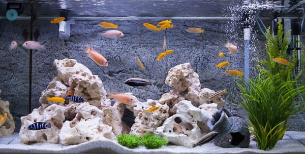 LED akvariebelysning DAG NAT LED akvarielampe 20cm med TIMER