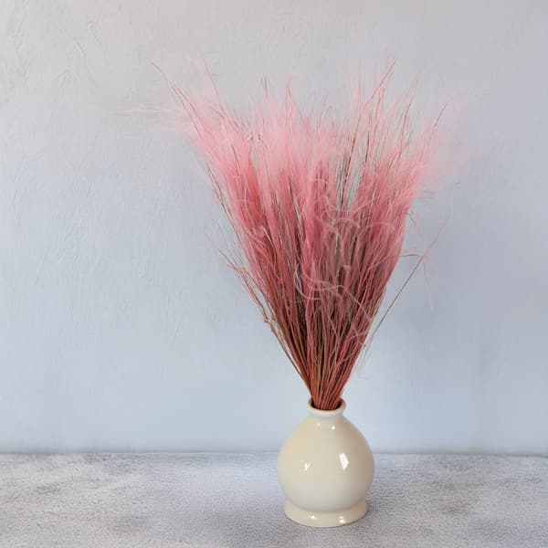 Tørret Stipa - Stipa pennata - Antik Pink
