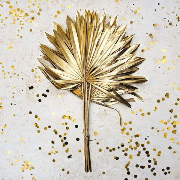 Palme Sol - Gylden