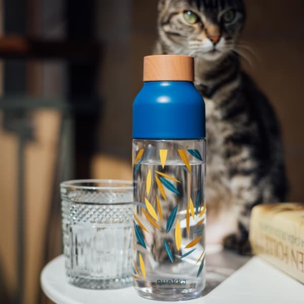 Quokka Ice - ecozen vesipullo 720 ml (bambu)