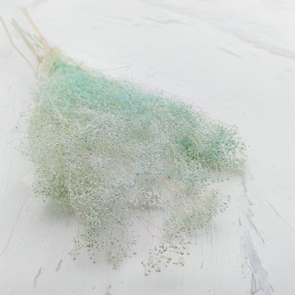 Stabiliseret plaster MINI - (gypsophila) - Mintgrøn