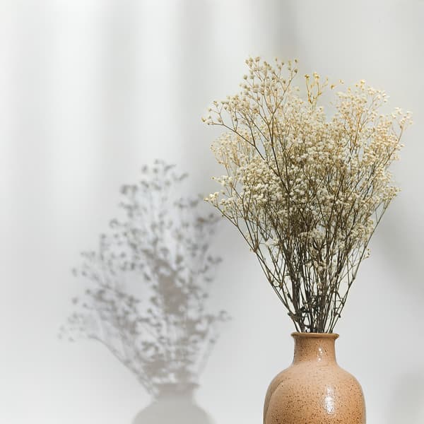 Stabiliserad Gypsophila - Naturvit