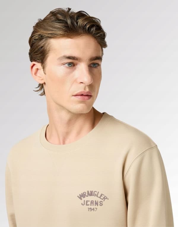 Wrangler Enfärgad Bomullströja Herr Liten Logo M